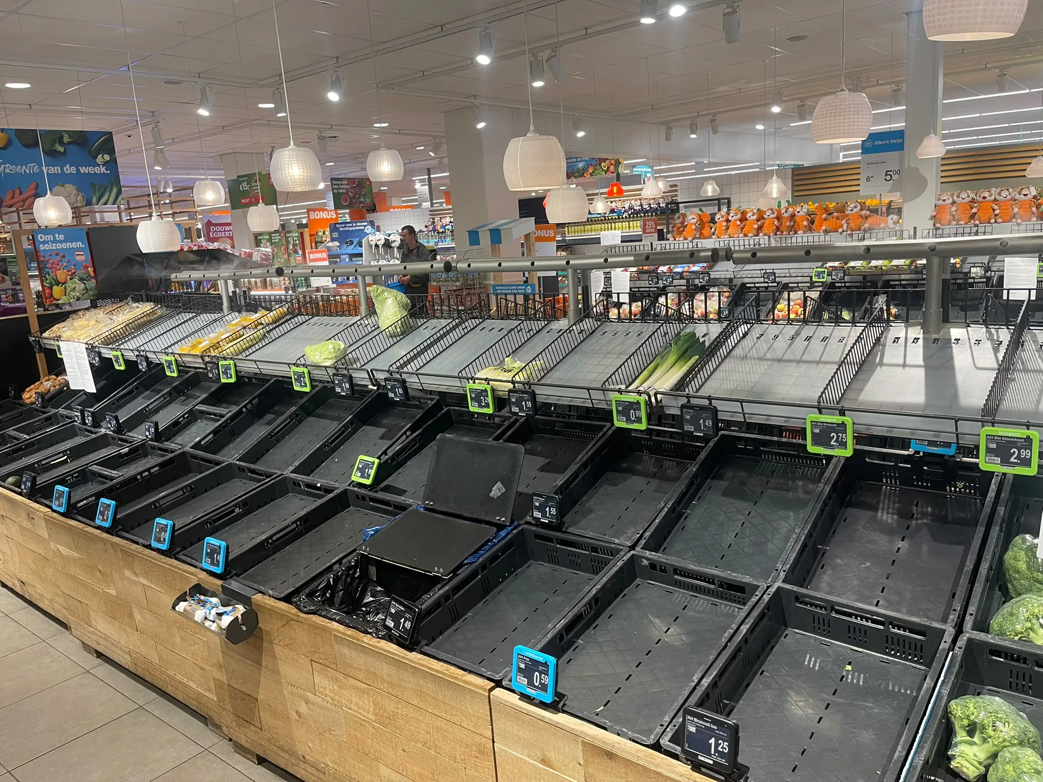 Deze Albert Heijn-supermarkt is helemaal leeg op de agf-afdeling. Foto: Distrifood
